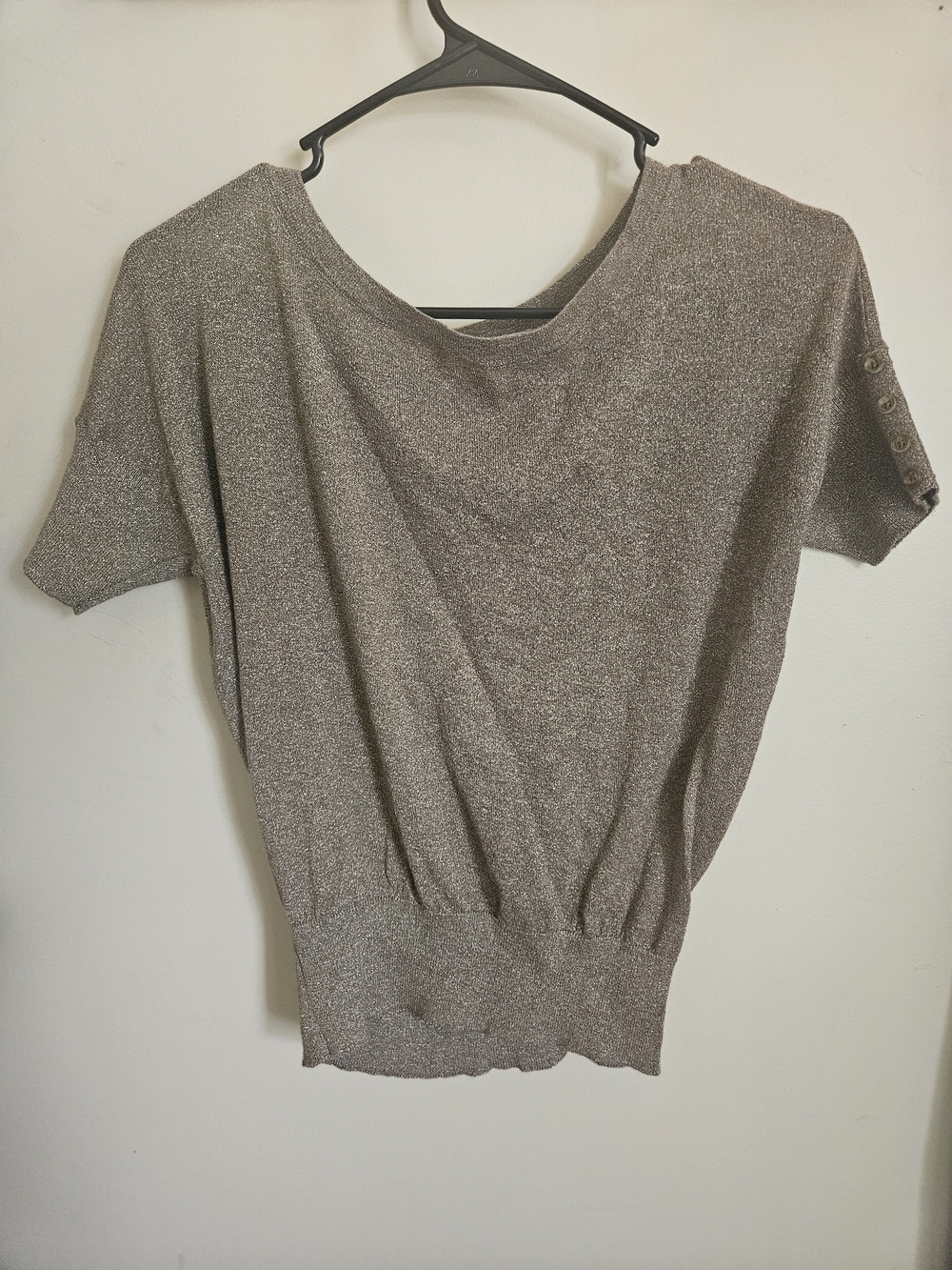 LOFT Shimmery Taupe Short Sleeve Metallic Knit Top